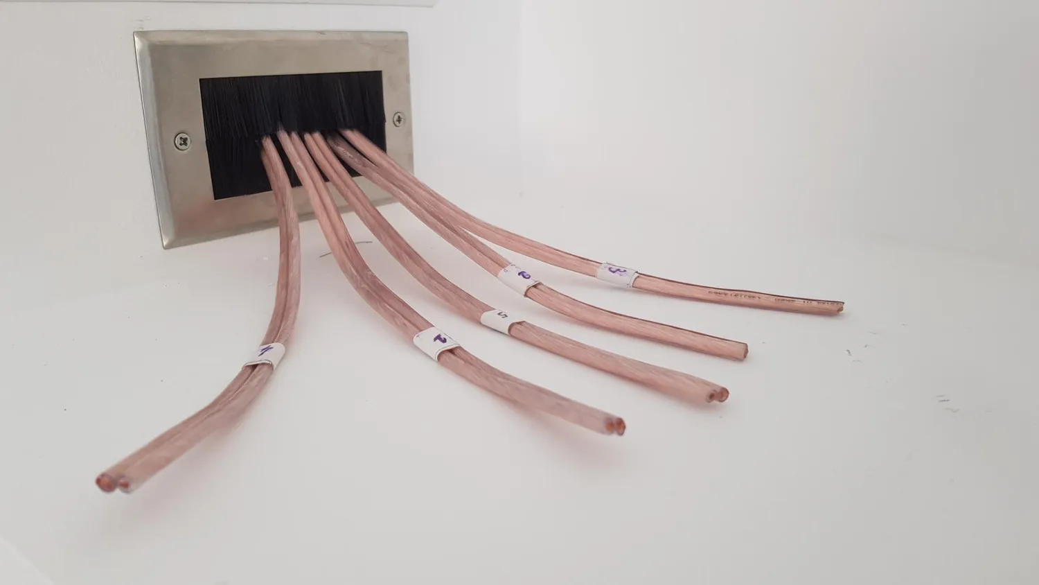 Kenable Bürsten Frontplatte Doppel 145x84 mm weiß