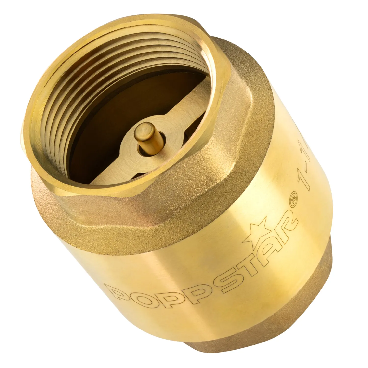 Poppstar Rückschlagventil 1 1/2 Zoll Messing 25 bar