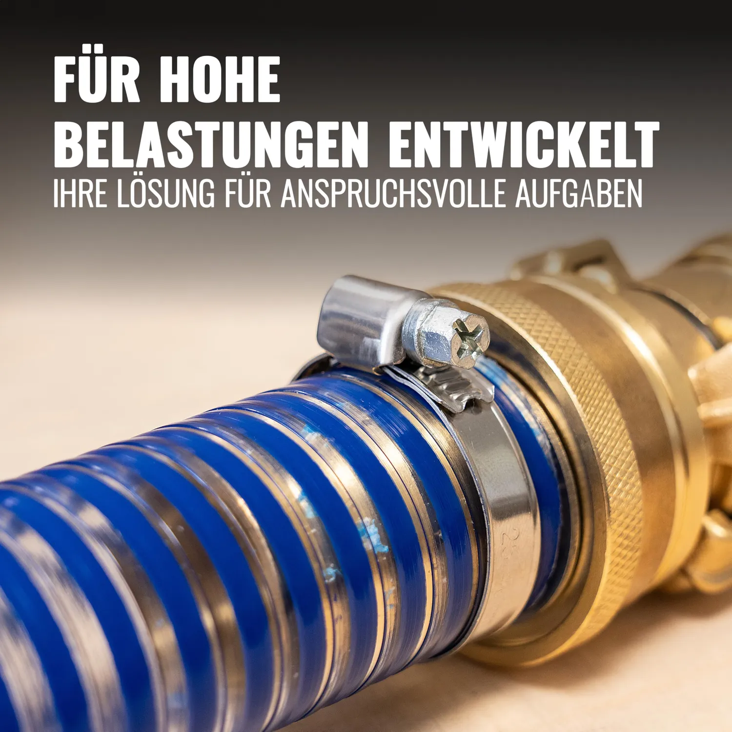 Poppstar Schlauchschellen Edelstahl 12-20mm 12er W2