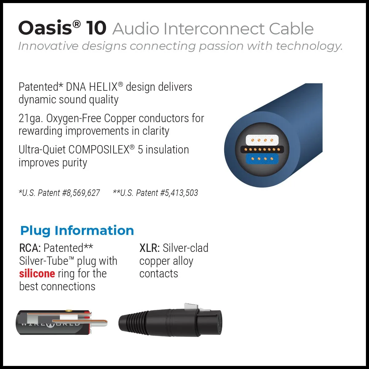 WireWorld Oasis 10 Audiokabel 1,0m Paar Cinch