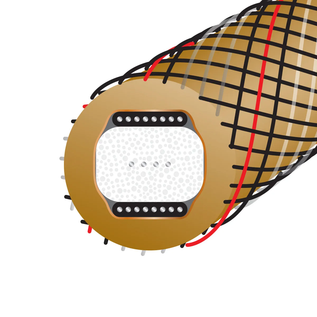 WireWorld Gold Starlight 10 Koaxialkabel Cinch 1,0 m 75 Ohm