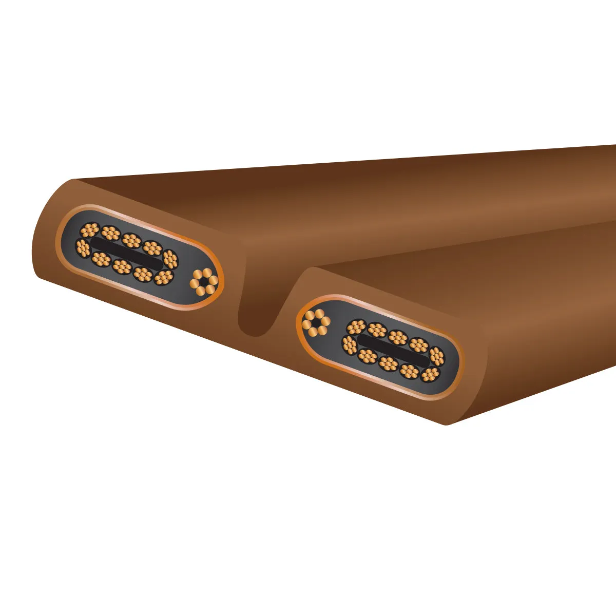 WireWorld Electra 10 Netzkabel 2,0 m OCC-Kupfer