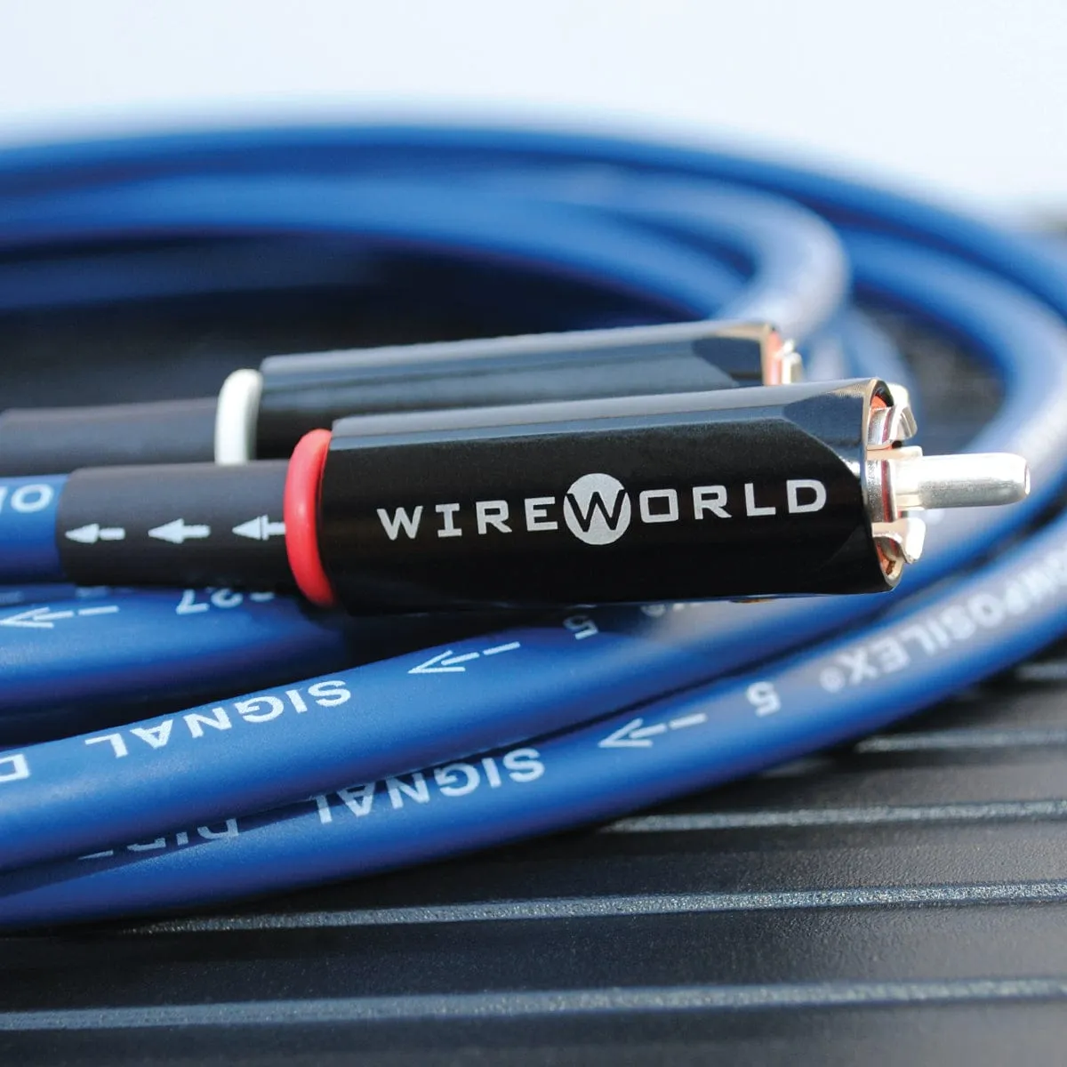 WireWorld Oasis 10 Audiokabel 1,0m Paar Cinch