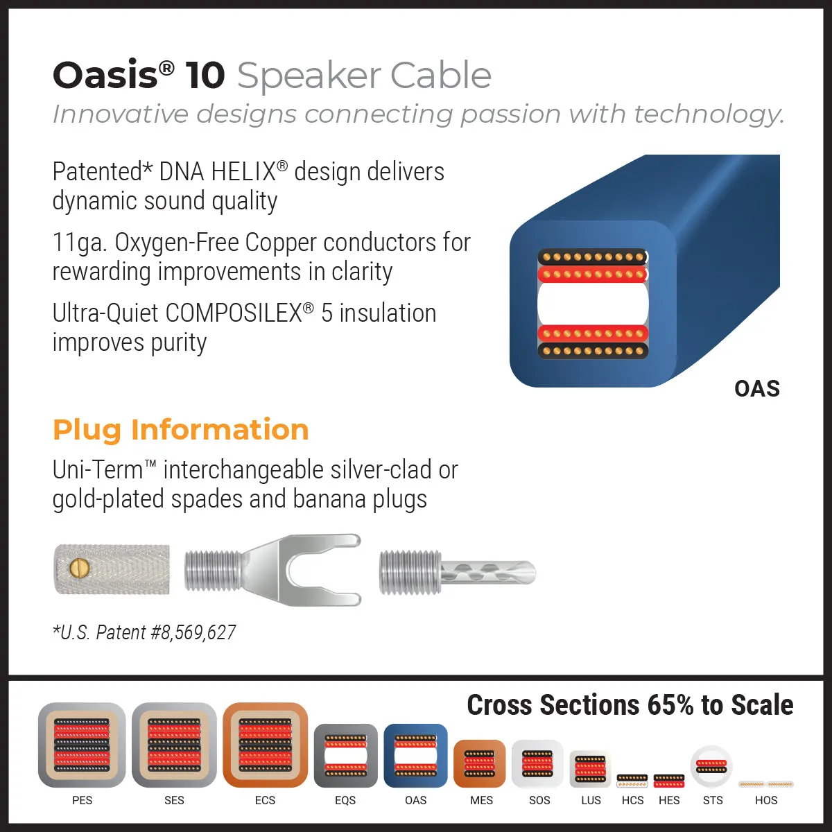 WireWorld Oasis 10 Lautsprecherkabel 2,0m Paar OFC