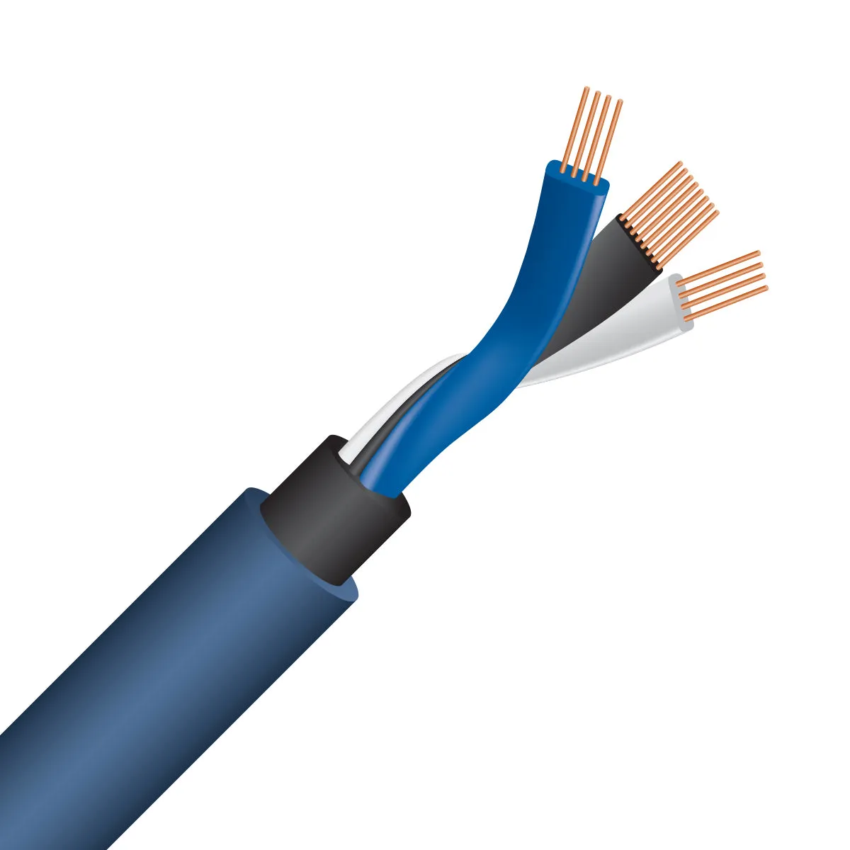 WireWorld Oasis 10 Y-Adapter Cinchkabel 0,2 m Buchse