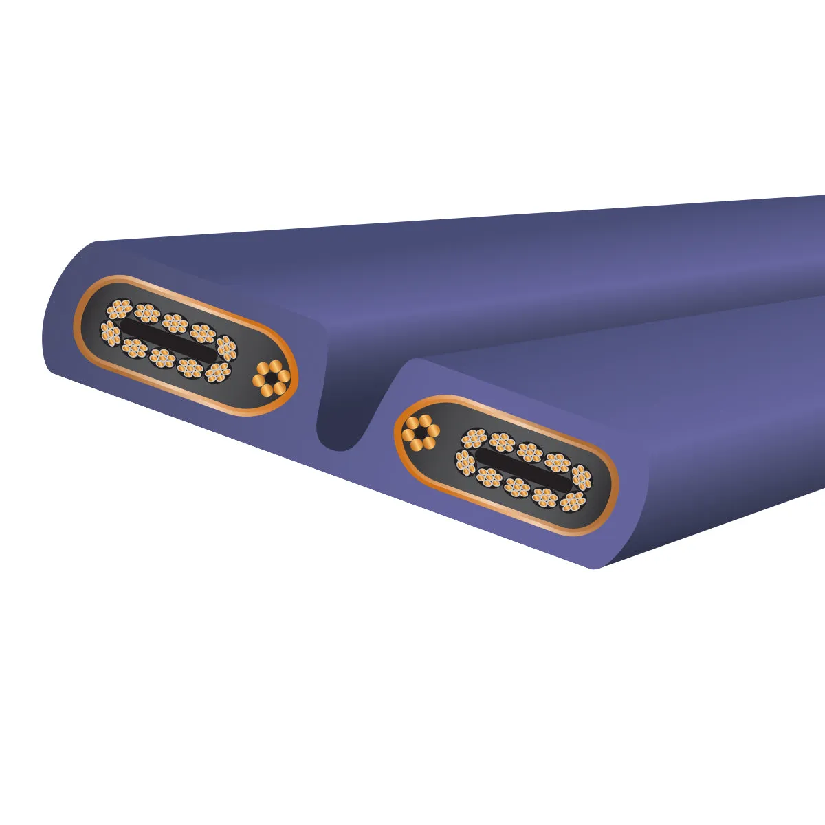 WireWorld Aurora 10 Netzkabel 1m Filter HiFi