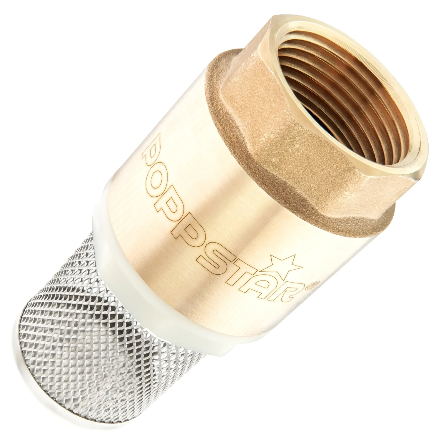 Poppstar Saugfilter Set 1 Zoll Messing Rückschlagventil Edelstahlkorb